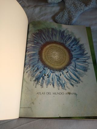 Atlas del mundo animal