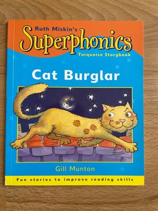 Cat burglar libro de lectura infantil