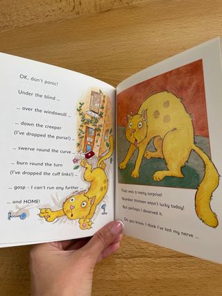 Cat burglar libro de lectura infantil