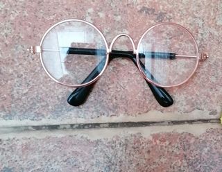 Gafas para gatito o perrito.