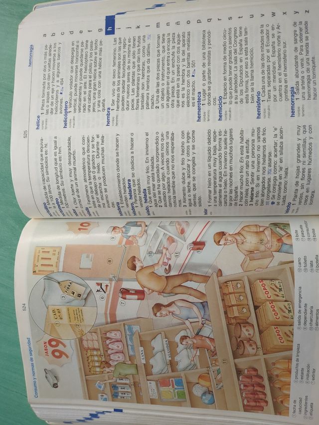 Diccionario primaria Anaya