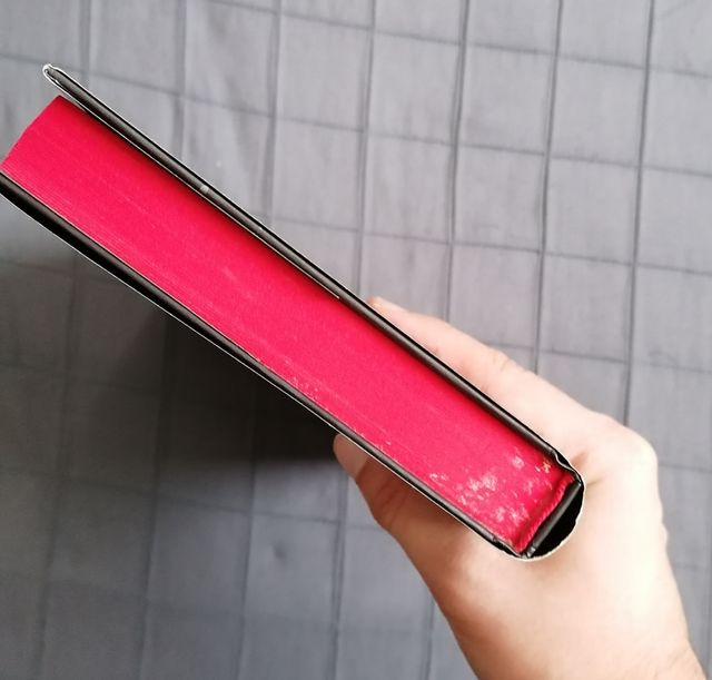 La furia. II diario del vampiro