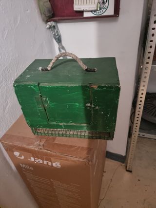 Trasportine para aves