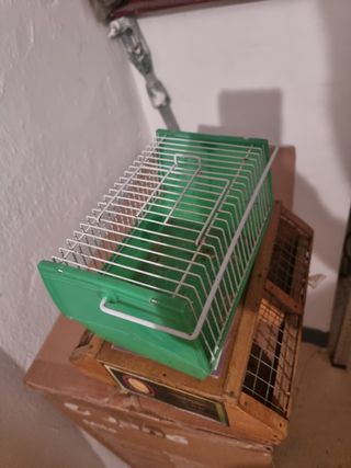 Trasportine para aves