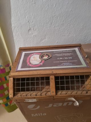 Trasportine para aves