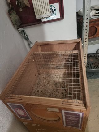 Trasportine para aves