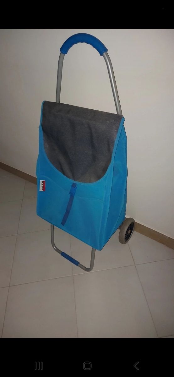 Trasportino per spesa