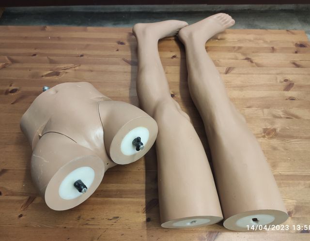 Manichino vintage. Manichino antico. Rasato