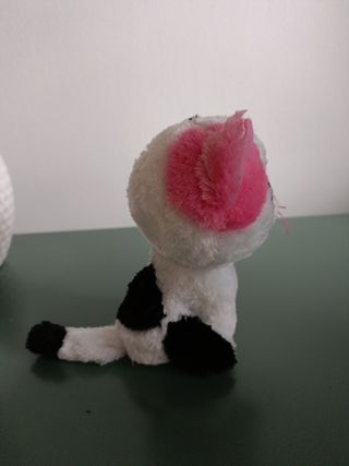 Peluche gattino