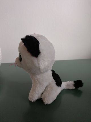 Peluche gattino