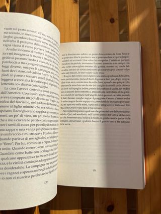 Romano Luperini - La Rancura 
