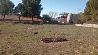 Jaula de conejos de hierro