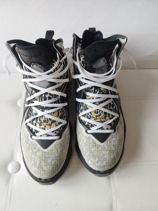 Zapatillas Nike LeBron