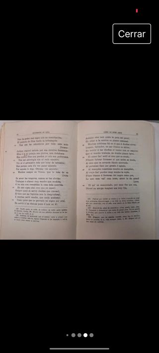 El libro del buen amor