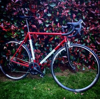 Colnago antigua Shimano 105 11v