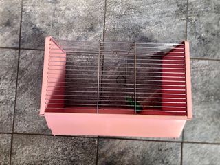 Gabbia per criceti  rosa