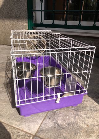 Gabbia per Roditori viola 