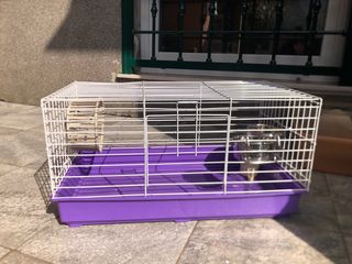Gabbia per Roditori viola 