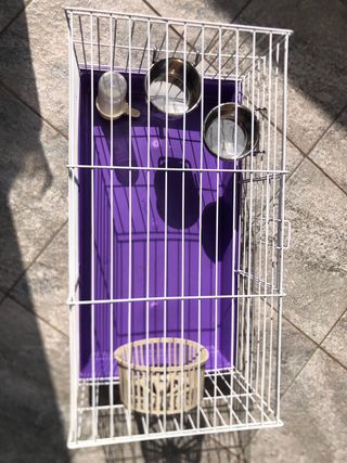 Gabbia per Roditori viola 