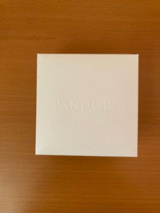 Pulsera Pandora + Charm