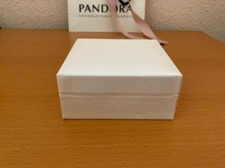 Pulsera Pandora + Charm