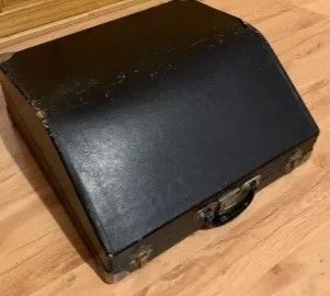 Acordeon con maletin de transporte