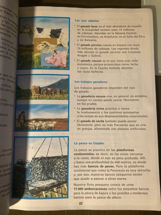 Libro de EGB Sociales 5 ed.  País Vasco. Santil