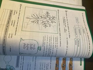 Libro de EGB de naturaleza 4. Santillana.