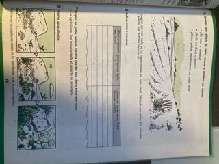 Libro de EGB de naturaleza 4. Santillana.