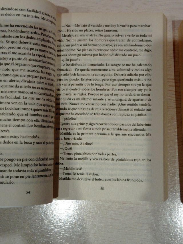 Libros La princesa rebelde