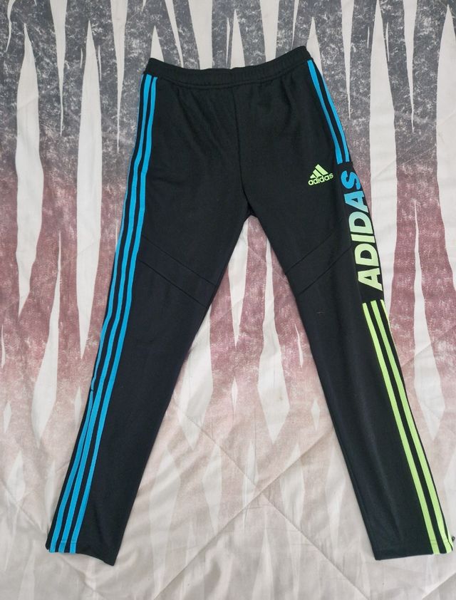 Pantalones cortos y largos para hombre