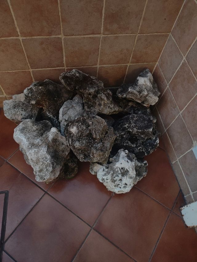 Piedras decoración jardín