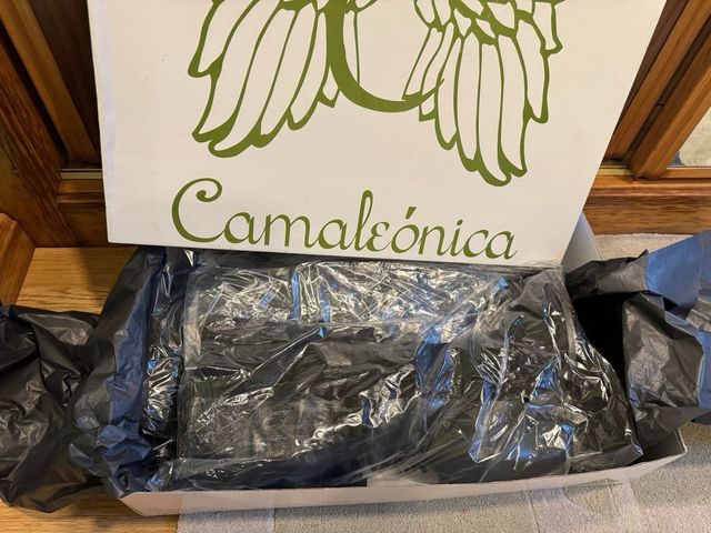 Bota Rughi Camaleonica