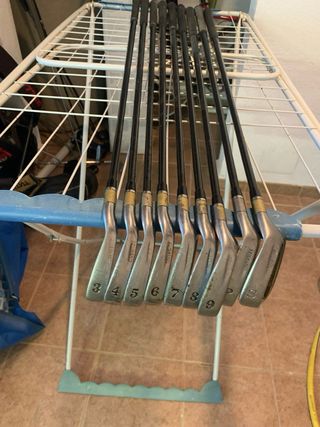 Bolsa y palos de golf