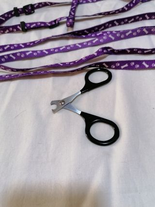 Guinzaglio e forbici