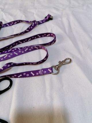 Guinzaglio e forbici