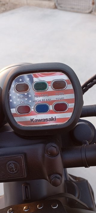 Kawasaki vulcan 500
