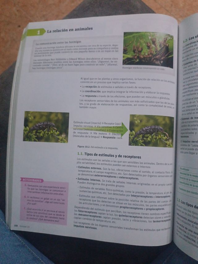 Libro de biología y geología