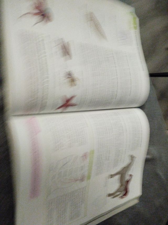 Biología y geología. 1 Bachillerato. Savia (Spanish Edition)