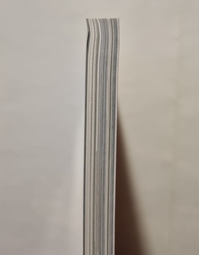 Switch 10 Chainsaw Man Holographic Cover Magazine