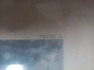 Cuadro antiguo de caceria  inglesa 135x80