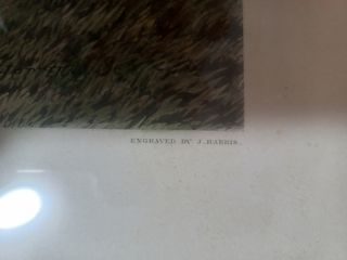 Cuadro antiguo de caceria  inglesa 135x80