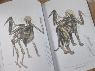The Resurrectionist. Dr Spencer Black