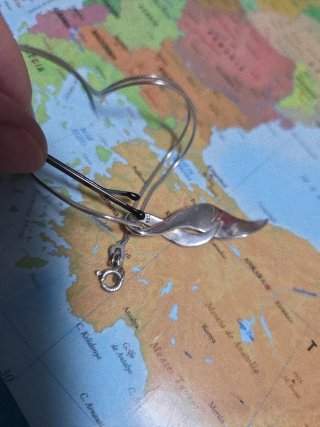 Colgante+cadena de plata