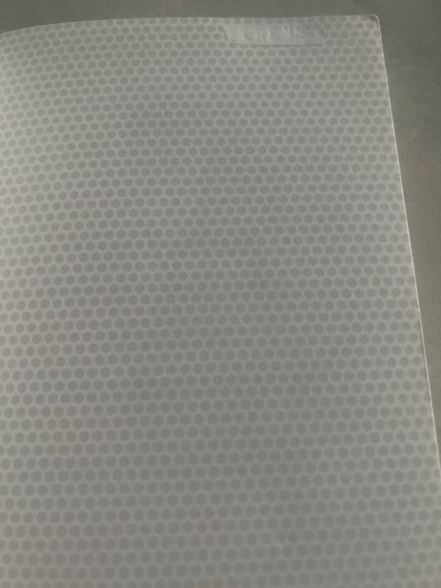 Lila Sacher y la expedición al norte