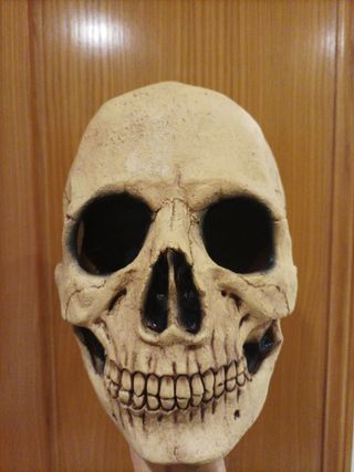 Disfraz de la muerte