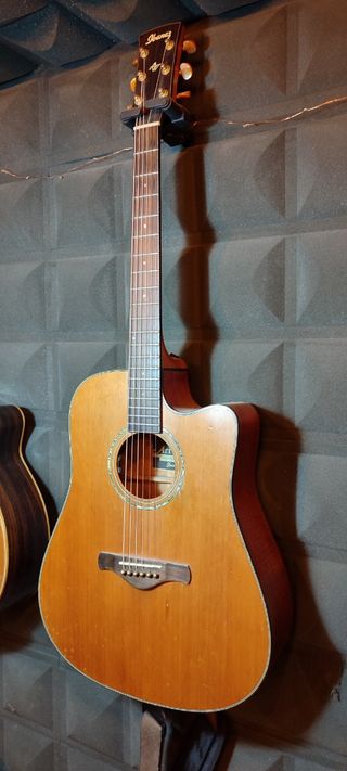 Guitarra Acústica IBANEZ Artwood