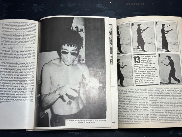 El Arte Secreta de Bruce lee y el pequeño dragon