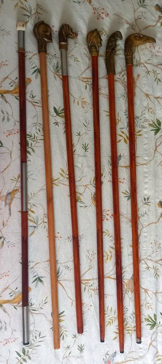 BASTONI DA PASSEGGIO