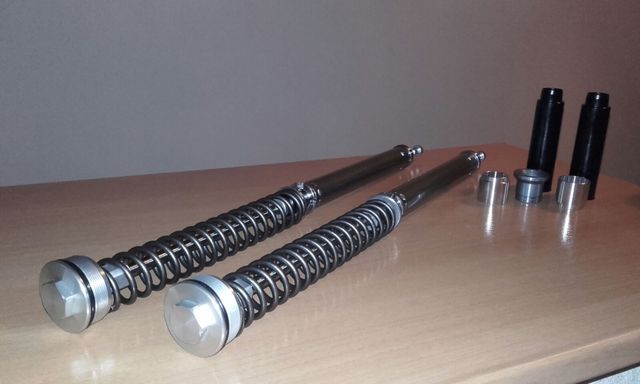 Internos horquilla BMW